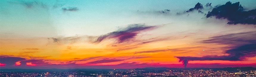 江山茶虫网_江山品茶